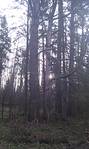 click for enlarge 1552 X 2592 766.9 Kb picture