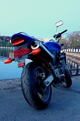 click for enlarge 537 X 807  85.3 Kb picture