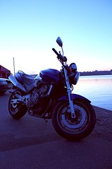 click for enlarge 537 X 807  59.9 Kb picture