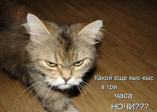 click for enlarge 604 X 432 41.6 Kb picture