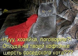 click for enlarge 604 X 434 89.6 Kb picture