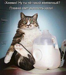 click for enlarge 420 X 480 31.8 Kb picture