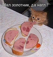 click for enlarge 445 X 480 38.1 Kb picture
