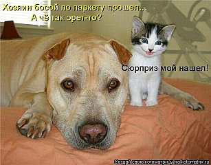 click for enlarge 614 X 480 56.4 Kb picture