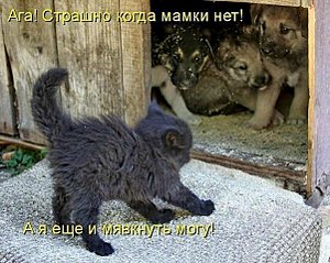 click for enlarge 601 X 480 74.4 Kb picture