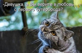 click for enlarge 604 X 392 57.7 Kb picture