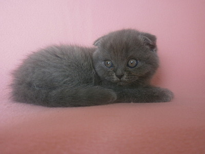 click for enlarge 1920 X 1440 345.8 Kb picture