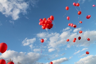 click for enlarge 1024 X 683 202.0 Kb picture