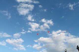 click for enlarge 1024 X 683 190.3 Kb picture