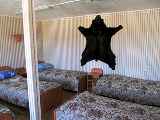 click for enlarge 1024 X 768 212.4 Kb picture