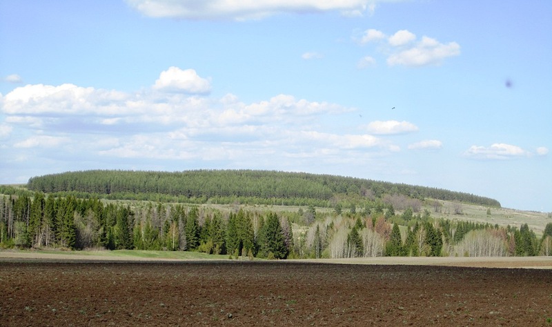click for enlarge 1024 X 607 155.0 Kb picture