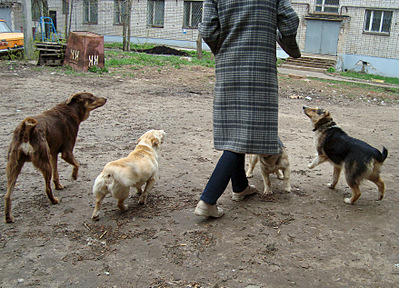 click for enlarge 1753 X 1266 905.9 Kb picture