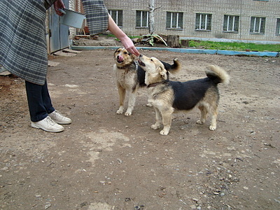 click for enlarge 1920 X 1440 392.6 Kb picture