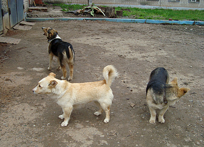 click for enlarge 1873 X 1353 345.1 Kb picture