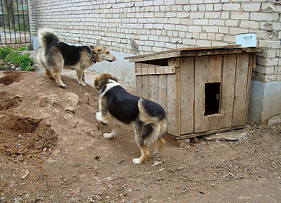 click for enlarge 1699 X 1227 823.8 Kb picture