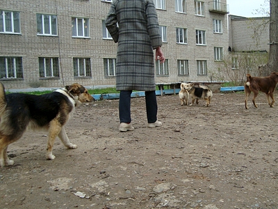 click for enlarge 1320 X 990 178.7 Kb picture