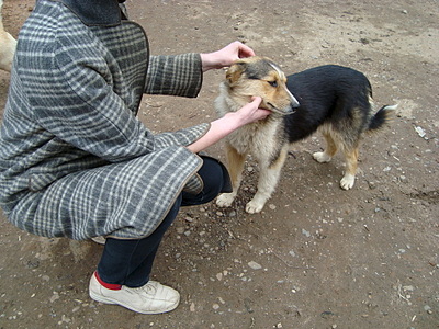 click for enlarge 1920 X 1440 360.2 Kb picture