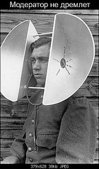 click for enlarge 266 X 453  32.0 Kb picture