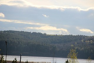 click for enlarge 807 X 538 52.0 Kb picture