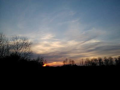 click for enlarge 1920 X 1440 354.8 Kb picture