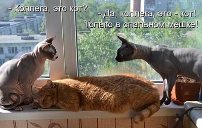 click for enlarge 700 X 446 63.0 Kb picture