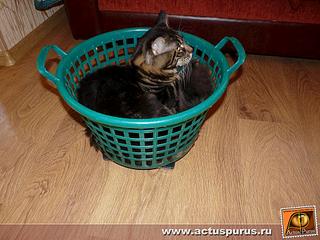 click for enlarge 1024 X 768 141.6 Kb picture