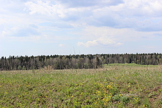 click for enlarge 1920 X 1280 771.6 Kb picture