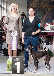 click for enlarge 253 X 355 40.5 Kb picture