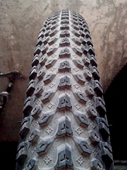 click for enlarge 1920 X 2560 528.2 Kb picture