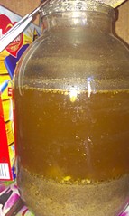 click for enlarge 1552 X 2592 589.5 Kb picture