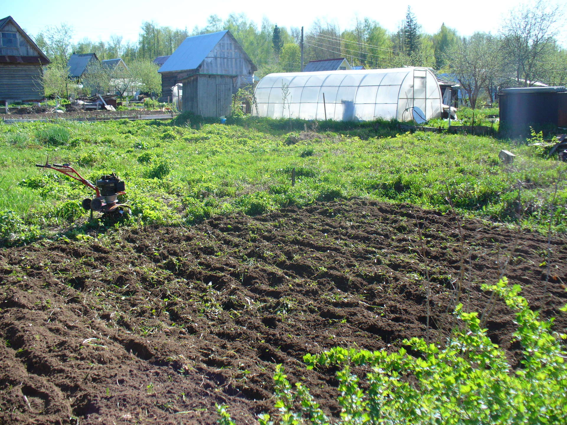 Зеленая земля в огороде что делать. Земля огород. Вспаханная земля в огороде. Почва огород. Грядки на земле.