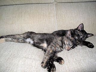 click for enlarge 640 X 480  84.8 Kb picture