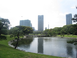 click for enlarge 864 X 648 189.7 Kb picture