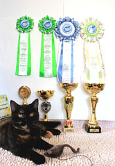 click for enlarge 1920 X 2767 399.1 Kb picture