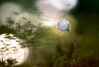 click for enlarge 1000 X 674 191.7 Kb picture