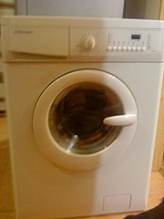 click for enlarge 1536 X 2048 677.4 Kb picture