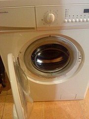 click for enlarge 1536 X 2048 703.1 Kb picture