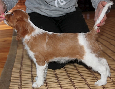 click for enlarge 994 X 768 349.3 Kb picture