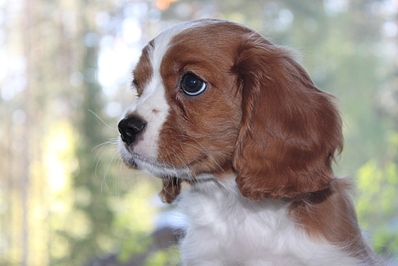 click for enlarge 1024 X 683 235.9 Kb picture