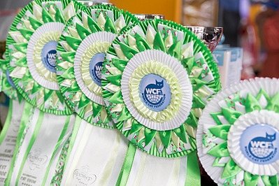 click for enlarge 1920 X 1280 722.0 Kb picture