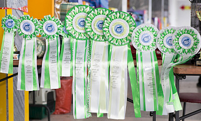 click for enlarge 1920 X 1159 758.8 Kb picture