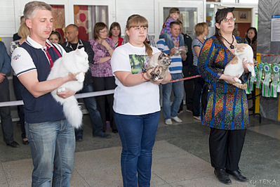 click for enlarge 1920 X 1279 749.8 Kb picture