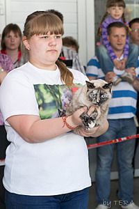 click for enlarge 1920 X 2880 469.9 Kb picture