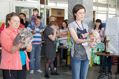 click for enlarge 1920 X 1280 597.5 Kb picture