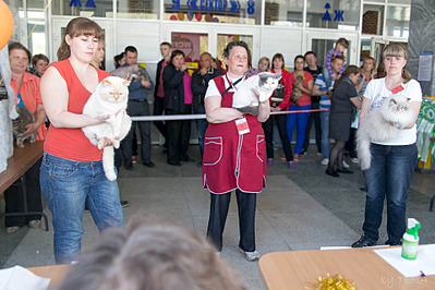 click for enlarge 1920 X 1279 619.8 Kb picture