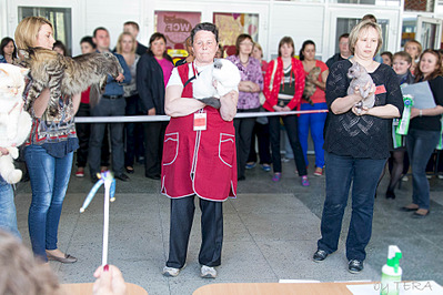 click for enlarge 1920 X 1279 792.4 Kb picture