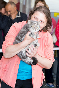 click for enlarge 1905 X 2858 809.6 Kb picture