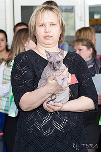 click for enlarge 1920 X 2879 553.4 Kb picture