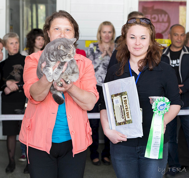 click for enlarge 1920 X 1810 887.7 Kb picture