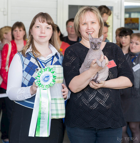 click for enlarge 1920 X 1966 936.8 Kb picture